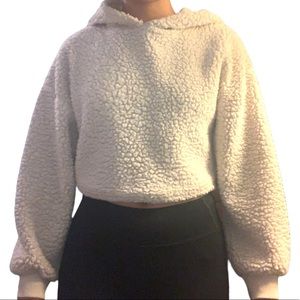 Cropped Teddy Hoodie